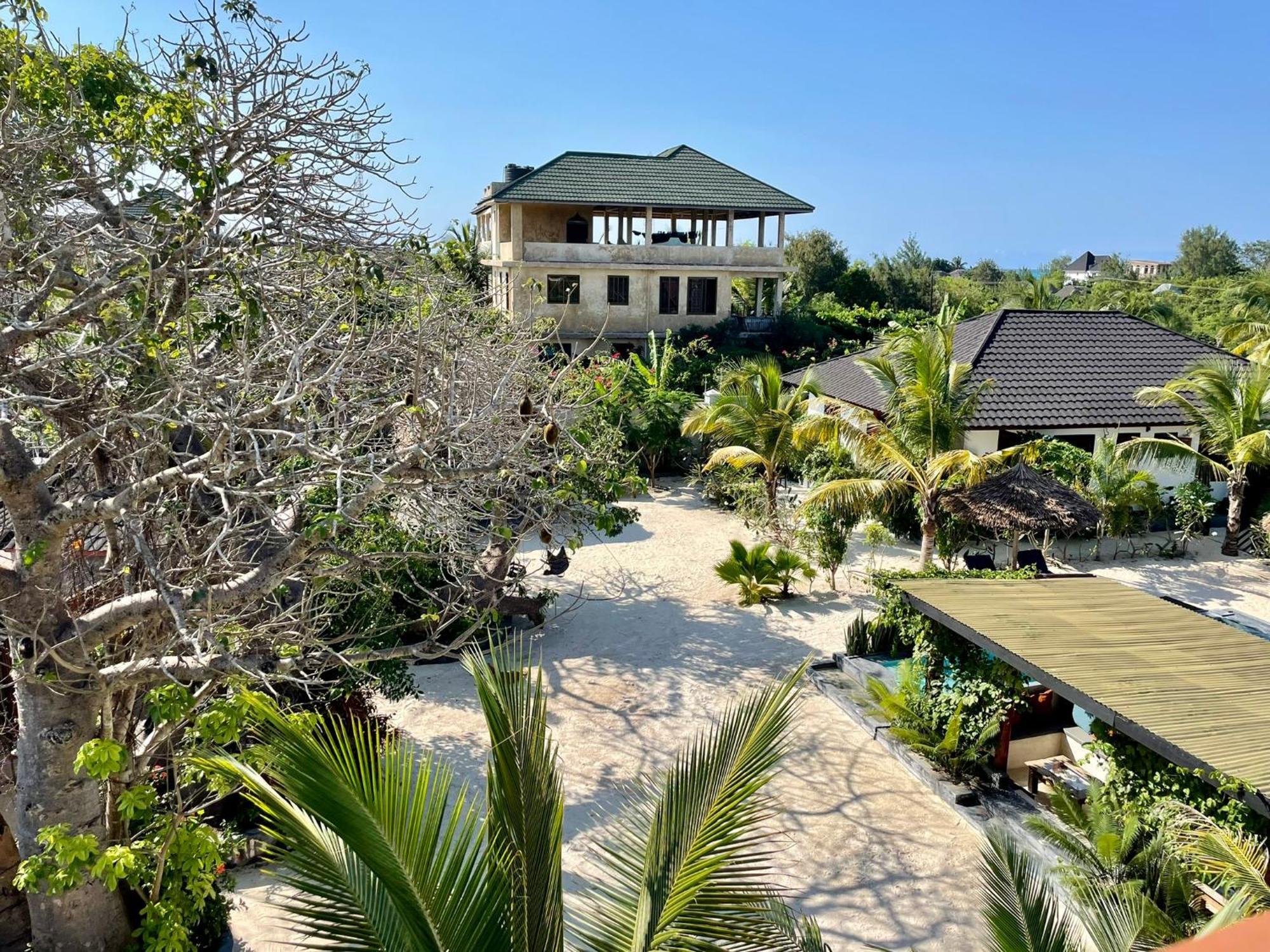 Baobab Bungalows Jambiani  Buitenkant foto